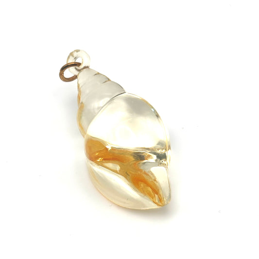 Vintage Seashell